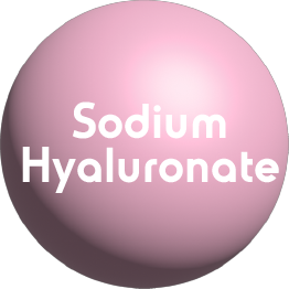 Help Website Design Products Inernational Market_Medical Devices 12